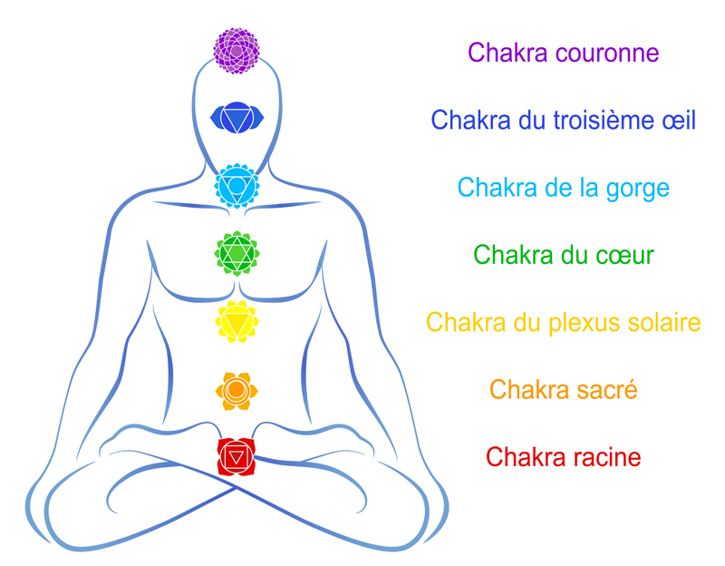 illustration des 7 chakras